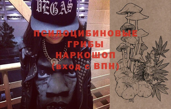ешки Кодинск