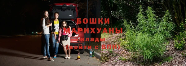 бошки Козельск