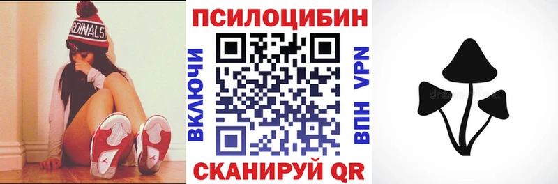 Галлюциногенные грибы Psilocybine cubensis  Купить  Юхнов 